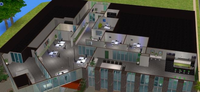 SIMs DF