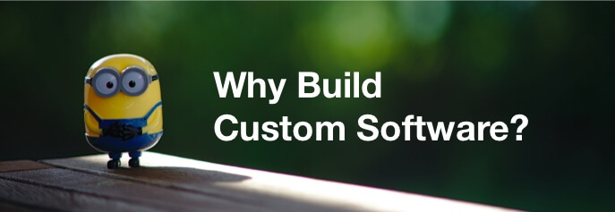 why build custom software
